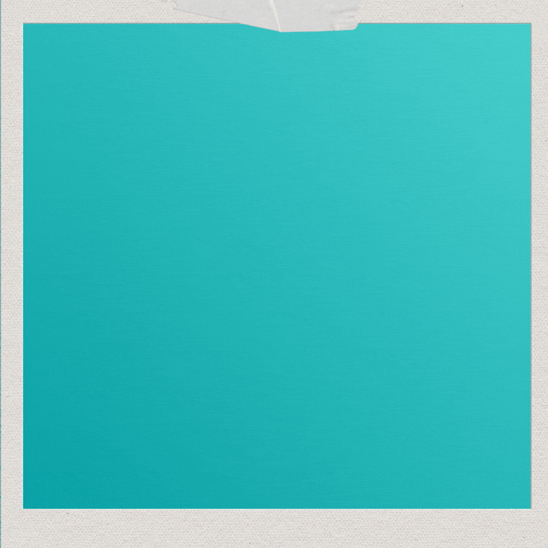 Scrivener Affiliate Link
